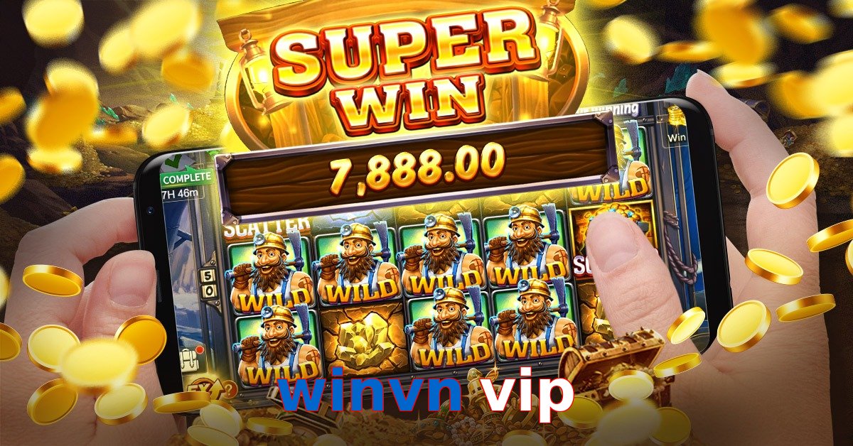 winvn vip