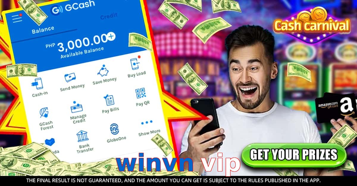 winvn vip
